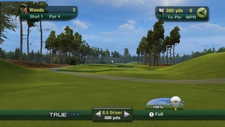 Illustration for article titled I Played First-Person Tiger Woods Golf, And Liked It